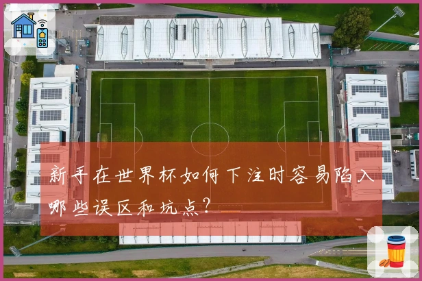 新手在世界杯如何下注时容易陷入哪些误区和坑点？