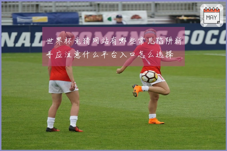 世界杯竞猜网站有哪些常见陷阱新手应注意什么平台入口怎么选择