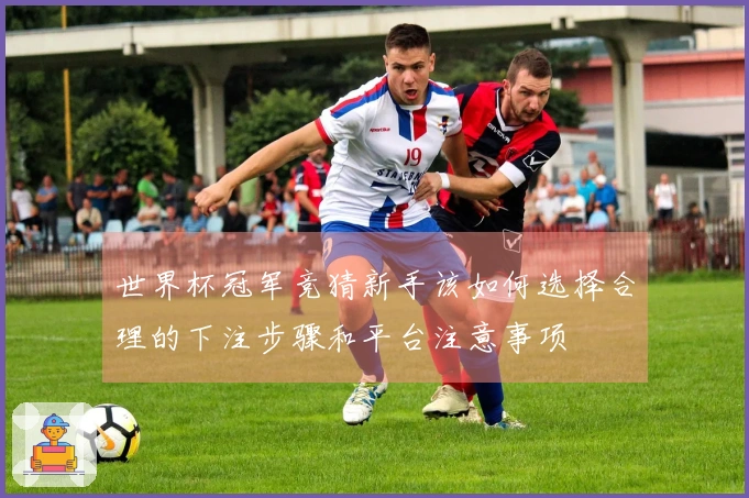 世界杯冠军竞猜新手该如何选择合理的下注步骤和平台注意事项