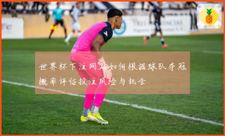世界杯下注网站如何根据球队夺冠概率评估投注风险与机会