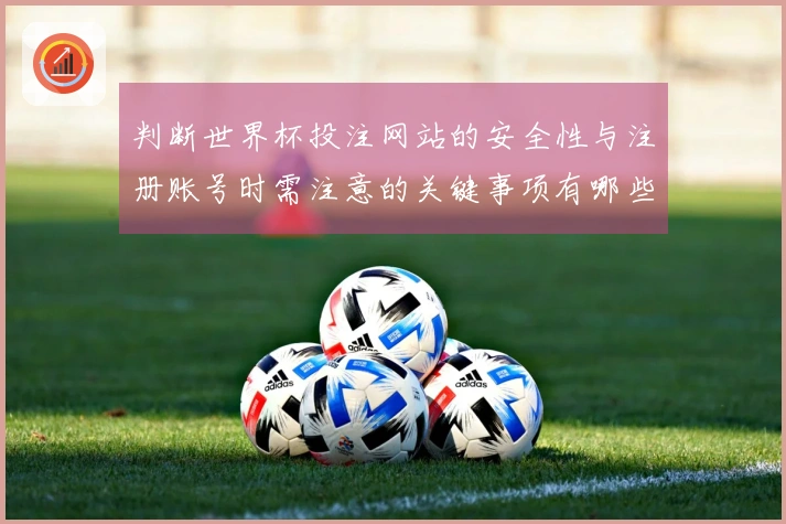 判断世界杯投注网站的安全性与注册账号时需注意的关键事项有哪些