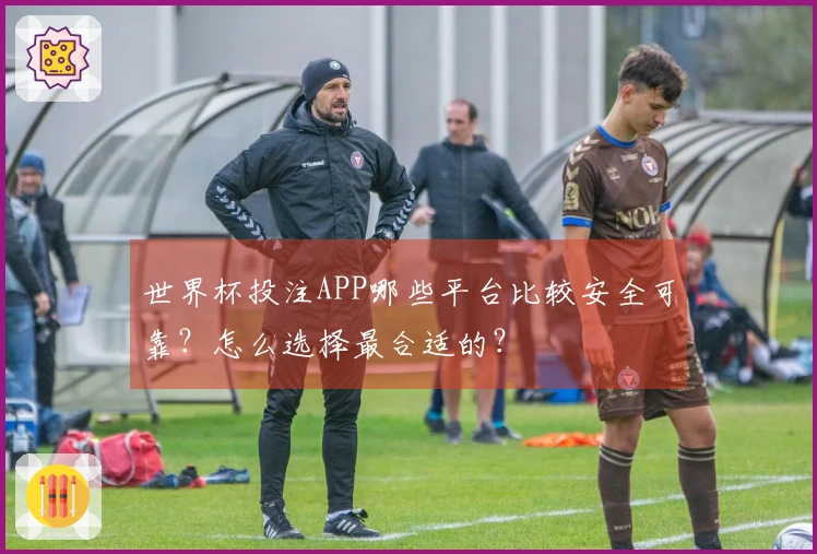 世界杯投注APP哪些平台比较安全可靠？怎么选择最合适的？