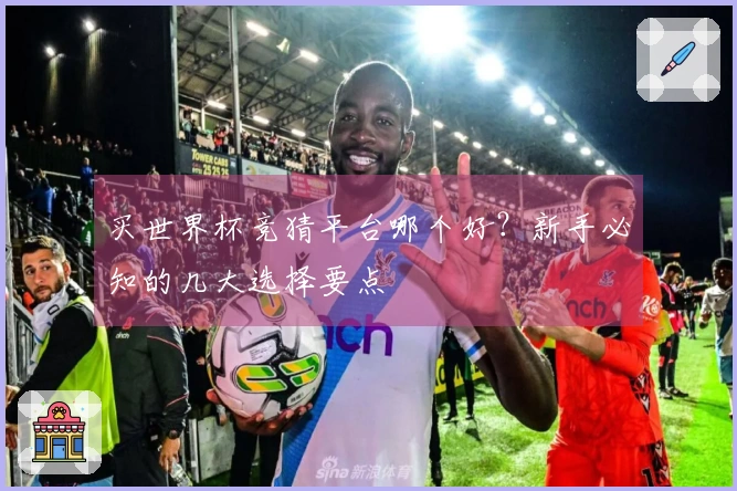 买世界杯竞猜平台哪个好？新手必知的几大选择要点