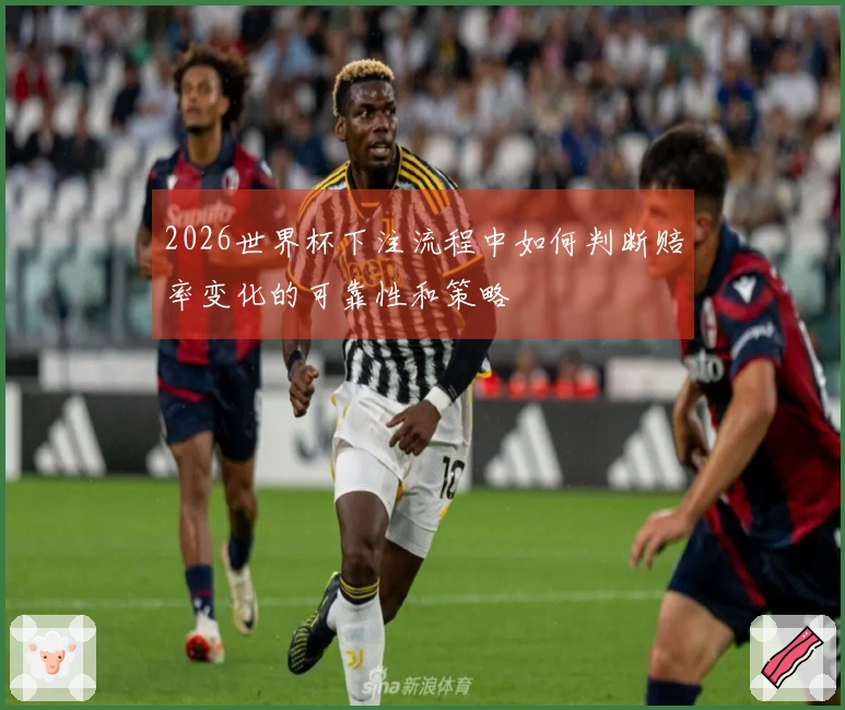 2026世界杯下注流程中如何判断赔率变化的可靠性和策略