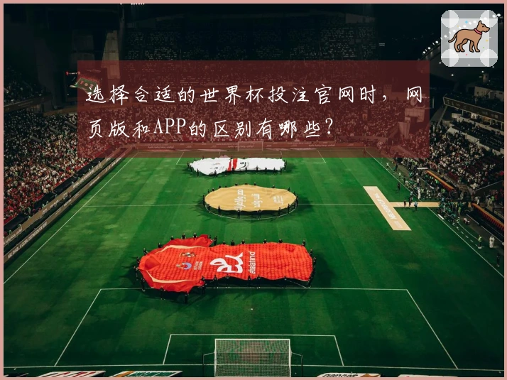 选择合适的世界杯投注官网时，网页版和APP的区别有哪些？