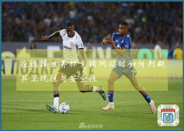 在选择世界杯竞猜网站时如何判断其正规性与安全性