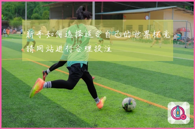 新手如何选择适合自己的世界杯竞猜网站进行合理投注