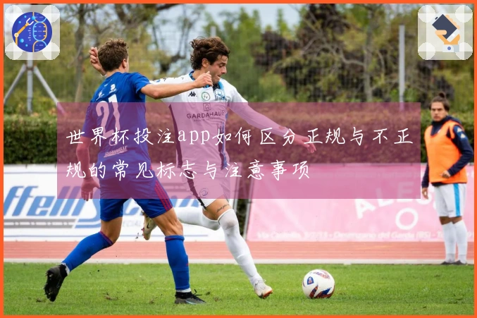 世界杯投注app如何区分正规与不正规的常见标志与注意事项