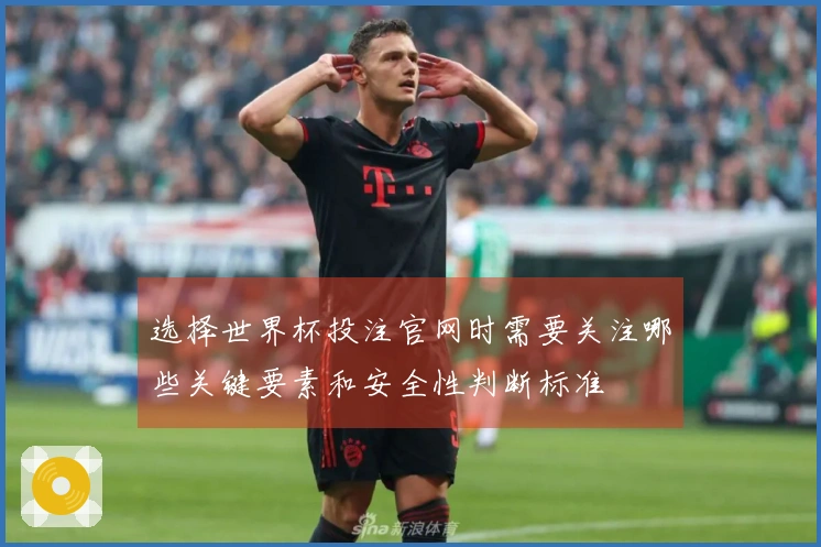 选择世界杯投注官网时需要关注哪些关键要素和安全性判断标准