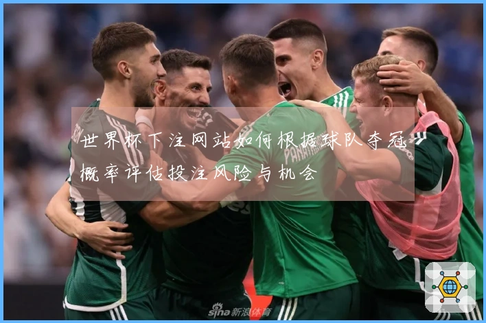世界杯下注网站如何根据球队夺冠概率评估投注风险与机会
