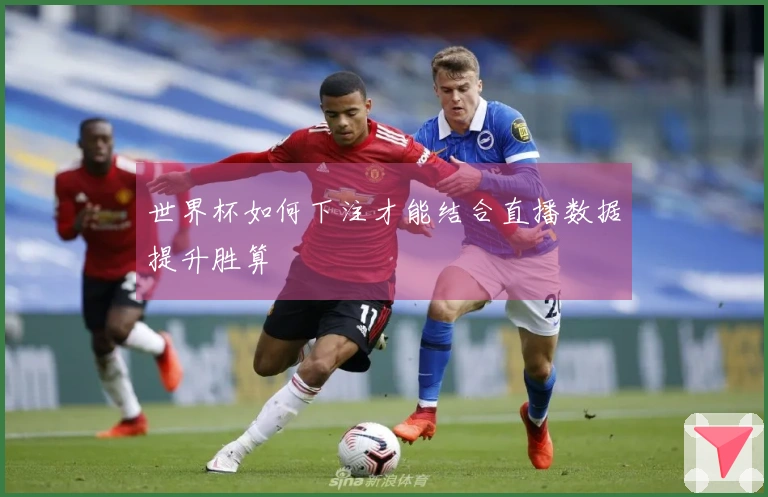 世界杯如何下注才能结合直播数据提升胜算