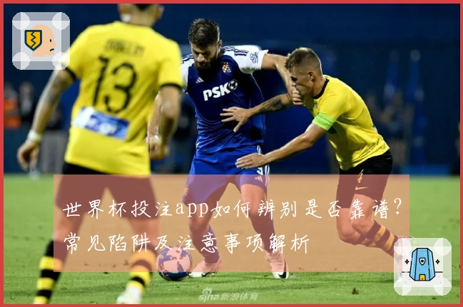 世界杯投注app如何辨别是否靠谱？常见陷阱及注意事项解析