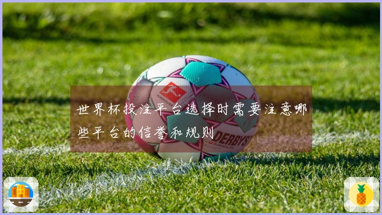 世界杯投注平台选择时需要注意哪些平台的信誉和规则