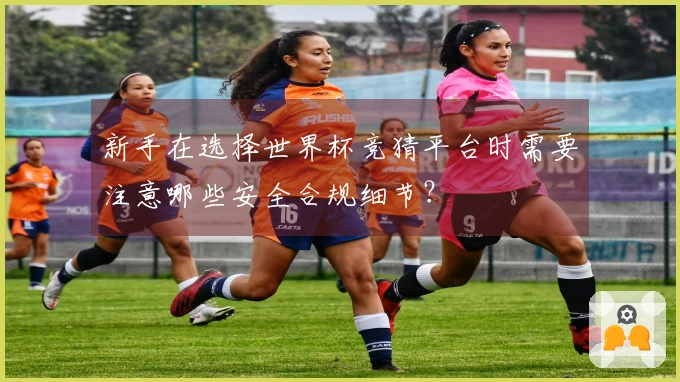 新手在选择世界杯竞猜平台时需要注意哪些安全合规细节？