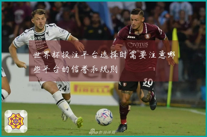 世界杯投注平台选择时需要注意哪些平台的信誉和规则
