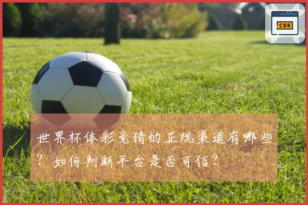 世界杯体彩竞猜的正规渠道有哪些？如何判断平台是否可信？