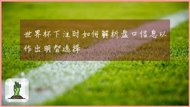 世界杯下注时如何解析盘口信息以作出明智选择