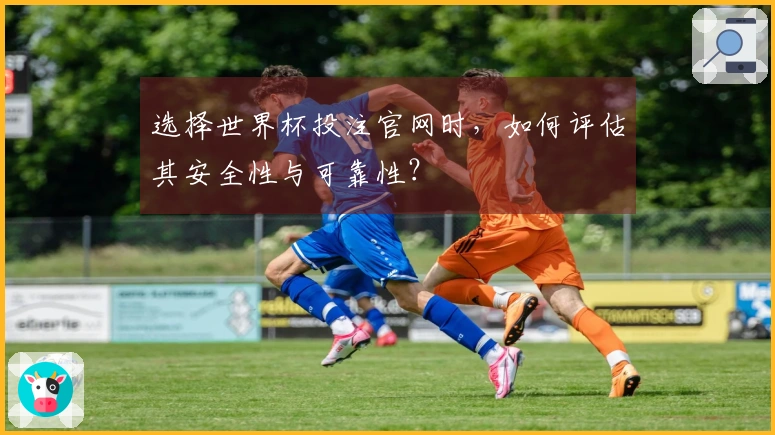 选择世界杯投注官网时，如何评估其安全性与可靠性？