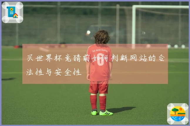 买世界杯竞猜前如何判断网站的合法性与安全性