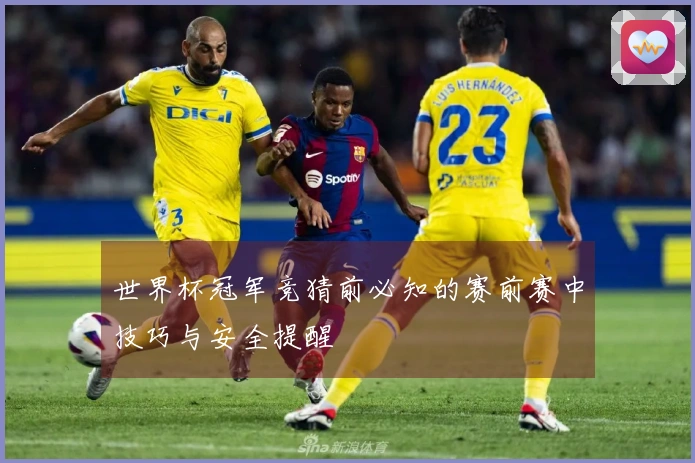 世界杯冠军竞猜前必知的赛前赛中技巧与安全提醒