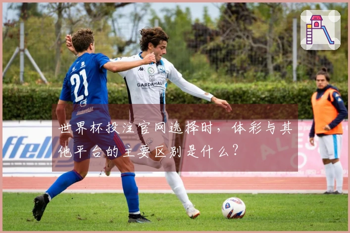 世界杯投注官网选择时，体彩与其他平台的主要区别是什么？