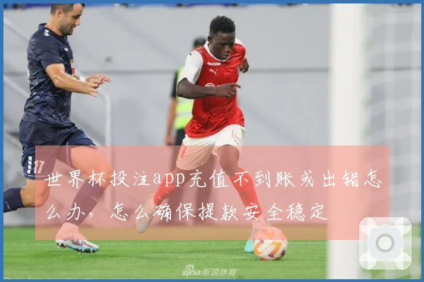 世界杯投注app充值不到账或出错怎么办，怎么确保提款安全稳定