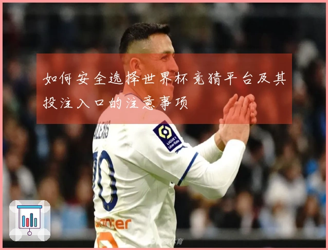 如何安全选择世界杯竞猜平台及其投注入口的注意事项