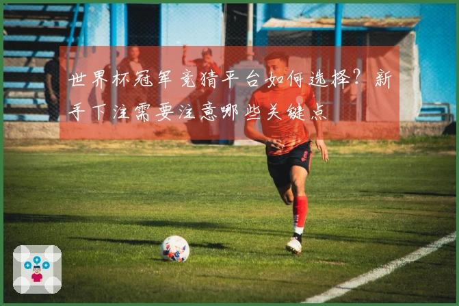 世界杯冠军竞猜平台如何选择？新手下注需要注意哪些关键点