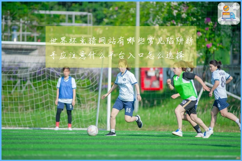 世界杯竞猜网站有哪些常见陷阱新手应注意什么平台入口怎么选择