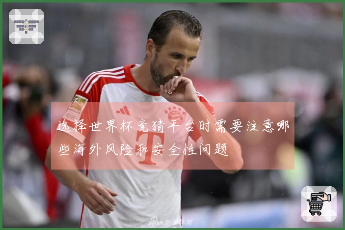 选择世界杯竞猜平台时需要注意哪些海外风险和安全性问题