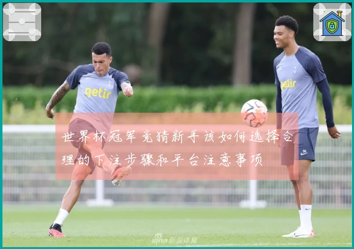 世界杯冠军竞猜新手该如何选择合理的下注步骤和平台注意事项