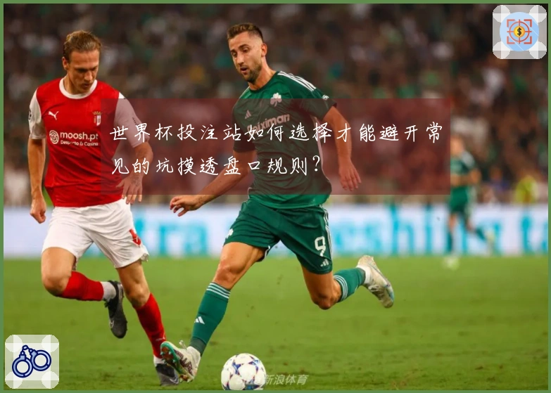 世界杯投注站如何选择才能避开常见的坑摸透盘口规则？