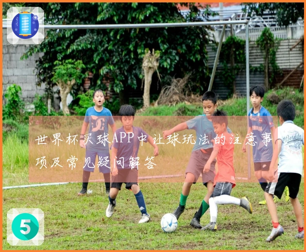 世界杯买球APP中让球玩法的注意事项及常见疑问解答