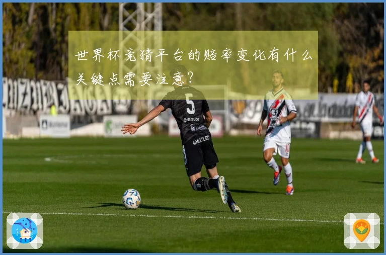 世界杯竞猜平台的赔率变化有什么关键点需要注意？