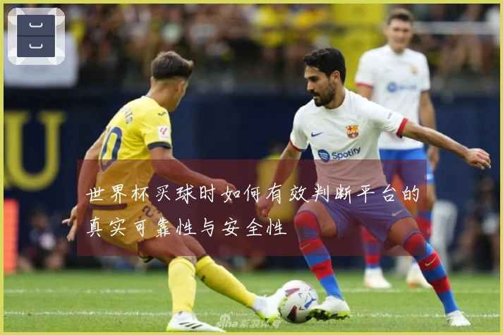 世界杯买球时如何有效判断平台的真实可靠性与安全性