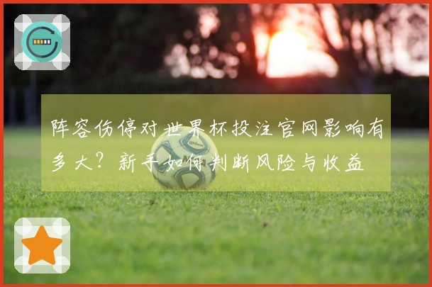 阵容伤停对世界杯投注官网影响有多大？新手如何判断风险与收益