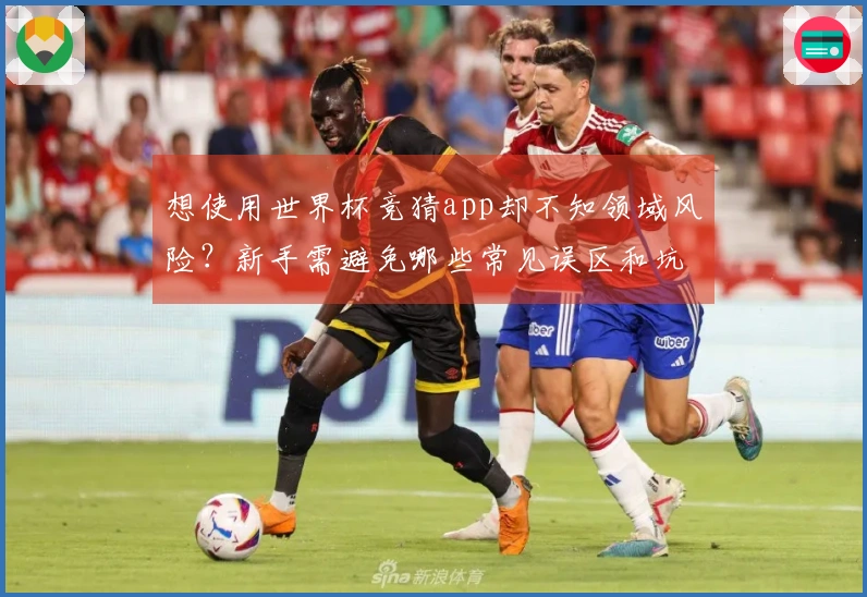 想使用世界杯竞猜app却不知领域风险？新手需避免哪些常见误区和坑？