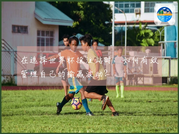 在选择世界杯投注站时，如何有效管理自己的输赢波动？